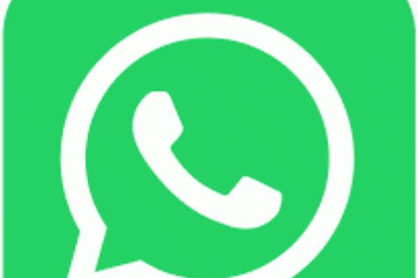 whatsapp96F1D64C-32EB-10E0-0BF2-6F411ECC3620.gif
